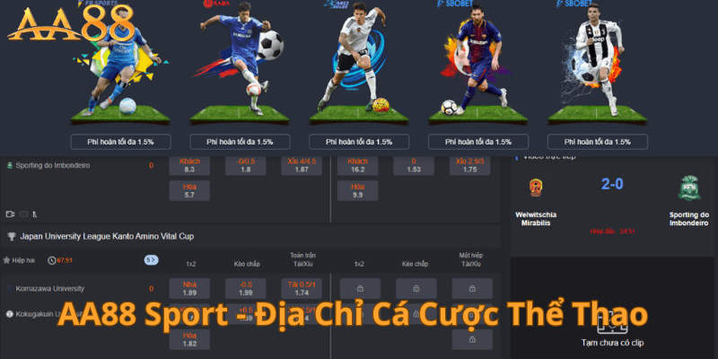 AA88 Sport Địa Chỉ Cá Cược Thể Thao