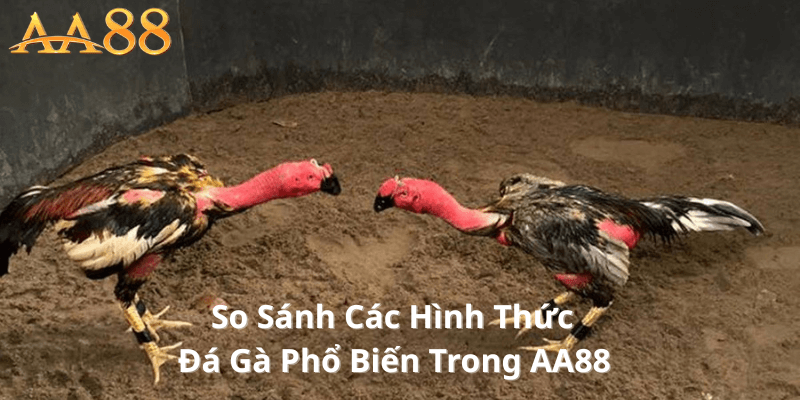 So Sánh Các Hình Thức Đá Gà Phổ Biến Trong AA88